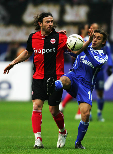 不可忽视的 不可忽视的